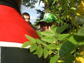 DSCF2471.jpg